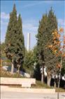 24 Yad Vashem